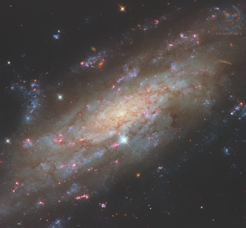 کهکشان NGC 3137