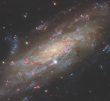 کهکشان NGC 3137